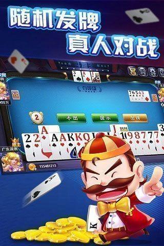 艾乐棋牌手机版截图1