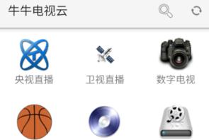牛牛电视云