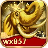wx857棋牌官方版