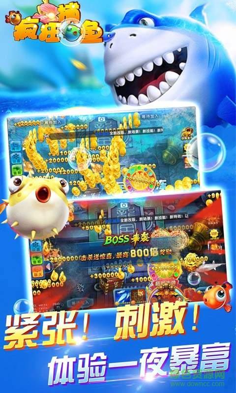 鱼丸游戏疯狂捕鱼百度版