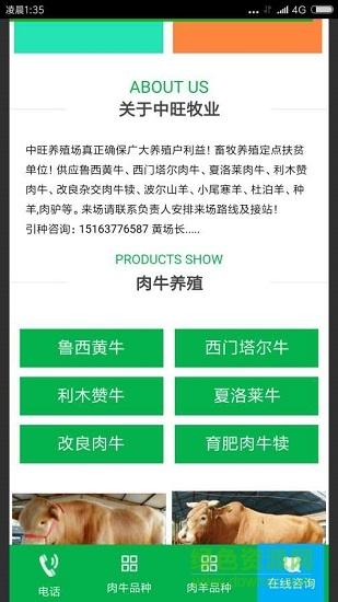 中旺牛牛养殖
