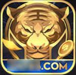 Old version of international chess and card games