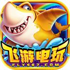 飞游电玩